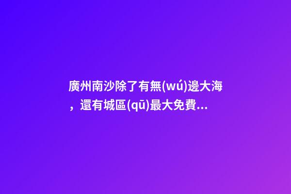 廣州南沙除了有無(wú)邊大海，還有城區(qū)最大免費(fèi)森林公園，名字拗口